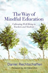 Baixar The Way of Mindful Education: Cultivating Well-Being in Teachers and Students (Norton Books in Education) pdf, epub, eBook