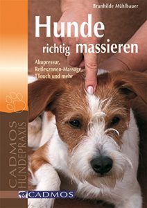 Baixar Hunde richtig massieren: Akupressur, Reflexzonen-Massage, TTouch und mehr (Cadmos Hundewelt) (German Edition) pdf, epub, eBook