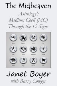 Baixar The Midheaven – Astrology’s Medium Coeli (MC) Through the 12 Signs (English Edition) pdf, epub, eBook