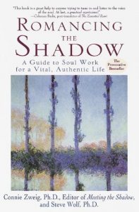 Baixar Romancing the Shadow: A Guide to Soul Work for a Vital, Authentic Life pdf, epub, eBook