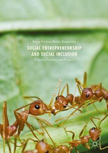 Baixar Social Entrepreneurship and Social Inclusion: Processes, Practices, and Prospects pdf, epub, eBook
