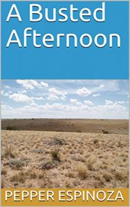 Baixar A Busted Afternoon (English Edition) pdf, epub, eBook