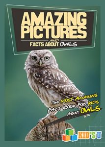 Baixar Amazing Pictures and Facts About Owls: The Most Amazing Fact Book for Kids About Owls (English Edition) pdf, epub, eBook