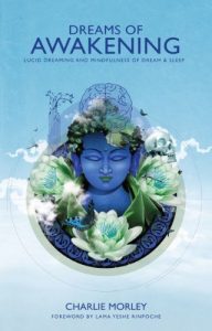 Baixar Dreams of Awakening: Lucid Dreaming and Mindfulness of Dream and Sleep pdf, epub, eBook