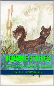 Baixar Bedtime Stories: THE BROWN-HAIRED MUMBLE (English Edition) pdf, epub, eBook