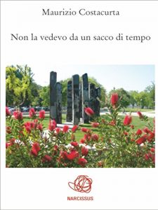 Baixar Non la vedevo da un sacco di tempo pdf, epub, eBook