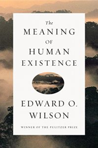 Baixar The Meaning of Human Existence pdf, epub, eBook