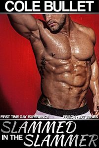 Baixar Slammed in the Slammer: First Time Gay Experience (Prison Heat Book 1) (English Edition) pdf, epub, eBook