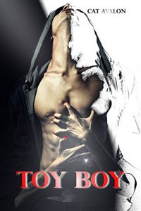 Baixar ToyBoy (German Edition) pdf, epub, eBook