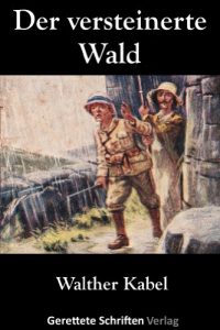 Baixar Der versteinerte Wald (German Edition) pdf, epub, eBook