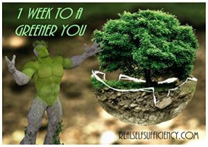 Baixar 1 Week to a Greener You (English Edition) pdf, epub, eBook