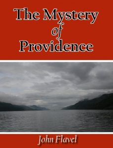 Baixar The Mystery Of Providence (English Edition) pdf, epub, eBook