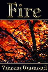 Baixar Fire (English Edition) pdf, epub, eBook