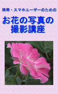 Baixar Keitai sumahonotameno ohananosyasinnnosatueikouza (Japanese Edition) pdf, epub, eBook