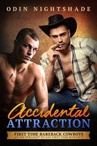 Baixar Accidental Attraction: A Straight to Gay First Time MM Romance (First Time Bareback Cowboys Book 2) (English Edition) pdf, epub, eBook