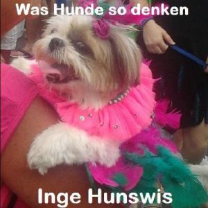 Baixar Was Hunde so denken – Ein Foto eBook (German Edition) pdf, epub, eBook