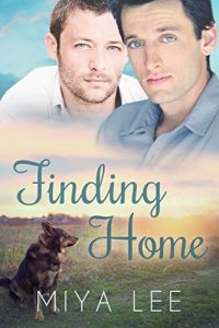 Baixar Finding Home (Wild Heart Book 3) (English Edition) pdf, epub, eBook
