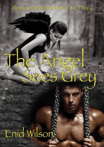 Baixar The Angel Sees Grey: Pleasure and Punishment for Mr. Darcy (English Edition) pdf, epub, eBook