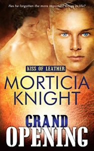 Baixar Grand Opening (Kiss of Leather Book 4) (English Edition) pdf, epub, eBook
