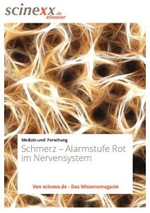 Baixar Schmerz: Alarmstufe Rot im Nervensystem (German Edition) pdf, epub, eBook