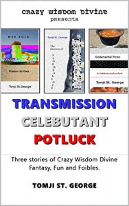 Baixar Transmission Celebutant Potluck: three stories of fantasy, fun and frivolity (CRAZY WISDOM DIVINE Book 3) (English Edition) pdf, epub, eBook
