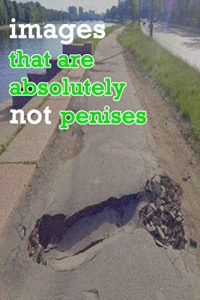 Baixar Images That Are Absolutely Not Penises (English Edition) pdf, epub, eBook