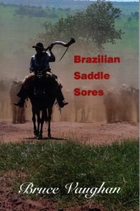 Baixar Brazilian Saddle Sores: Working cattle for the Vesteys in South America (English Edition) pdf, epub, eBook