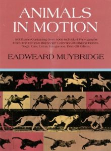 Baixar Animals in Motion (Dover Anatomy for Artists) pdf, epub, eBook