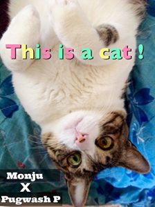 Baixar This is a cat (Japanese Edition) pdf, epub, eBook