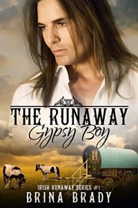Baixar The Runaway Gypsy Boy (Irish Runaway Series Book 1) (English Edition) pdf, epub, eBook