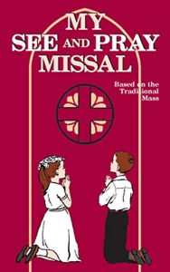 Baixar My See and Pray Missal (English Edition) pdf, epub, eBook