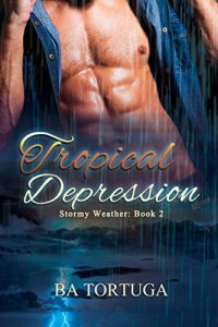 Baixar Tropical Depression (Stormy Weather Book 2) (English Edition) pdf, epub, eBook