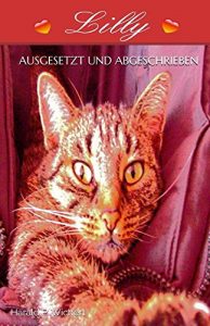 Baixar Lilly: ausgesetzt und abgeschrieben (German Edition) pdf, epub, eBook