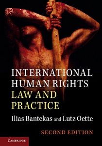 Baixar International Human Rights Law and Practice pdf, epub, eBook