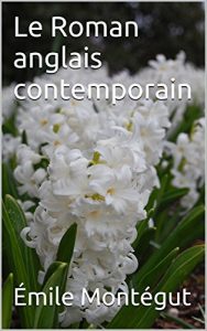 Baixar Le Roman anglais contemporain (French Edition) pdf, epub, eBook