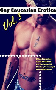 Baixar Gay Caucasian Erotica, Vol. 3: A Six-Pack of Prisoners, Rednecks, Surfers, Bikers and More (The Best Gay Erotica About White or Caucasian Men Book 28) (English Edition) pdf, epub, eBook