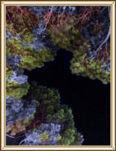 Baixar anche gli alberi sorridono e nessuno lo sa (Italian Edition) pdf, epub, eBook