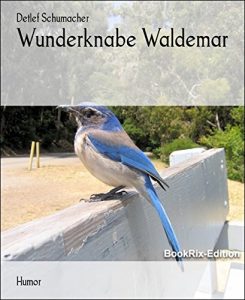 Baixar Wunderknabe Waldemar (German Edition) pdf, epub, eBook