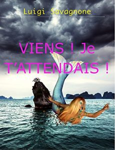 Baixar Viens ! Je T’Attendais ! (French Edition) pdf, epub, eBook