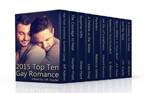 Baixar 2015 Top Ten Gay Romance (English Edition) pdf, epub, eBook