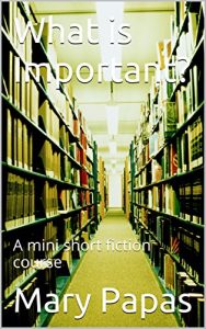 Baixar What is Important?: A mini short fiction course (English Edition) pdf, epub, eBook