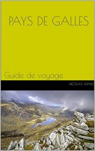 Baixar Pays de Galles: Guide de voyage (French Edition) pdf, epub, eBook