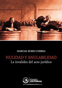 Baixar Nulidad y anulabilidad (Spanish Edition) pdf, epub, eBook