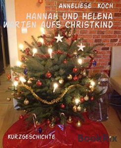 Baixar Hannah und Helena warten aufs Christkind (German Edition) pdf, epub, eBook