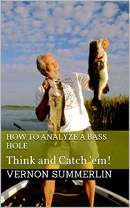 Baixar How to Analyze a Bass Hole: Think and Catch ‘em! (English Edition) pdf, epub, eBook