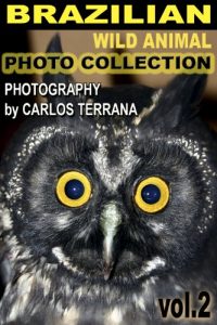Baixar Brazilian Wild Animal Photo Collection Vol. 2 (English Edition) pdf, epub, eBook
