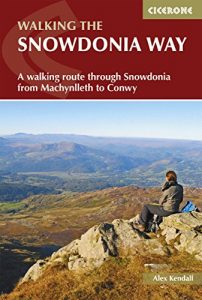 Baixar The Snowdonia Way: A walking route through Snowdonia from Machynlleth to Conwy (British Long Distance) pdf, epub, eBook