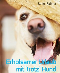 Baixar Erholsamer Urlaub mit (trotz) Hund: Richtig planen (German Edition) pdf, epub, eBook