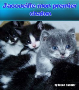 Baixar J’accueille mon premier chaton (French Edition) pdf, epub, eBook