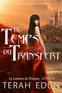 Baixar Le Temps du Transfert (French Edition) pdf, epub, eBook